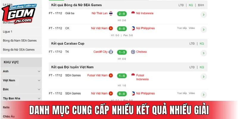 Danh mục cung cấp kết quả của nhiều giải