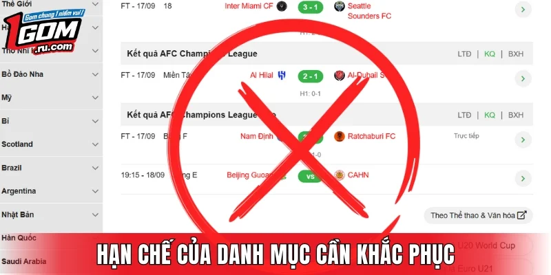 Điều hạn chế danh mục sẽ khắc phục trong tương lai gần